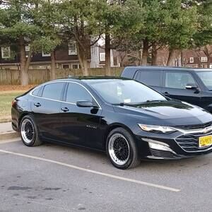 Meet your Posher, Donald